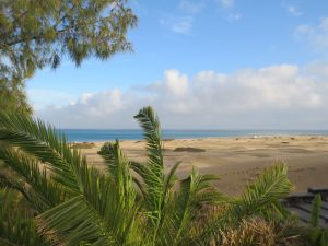 Relax, chill and enjoy Gran Canaria, South, Maspalomas, Canary islands